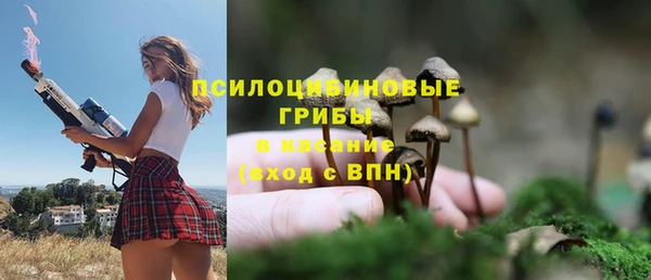 СК Володарск