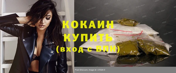 молекула духа Бердск