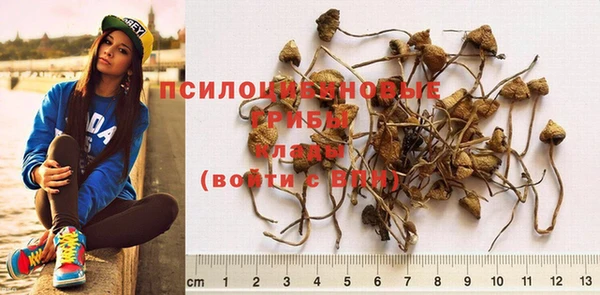 2c-b Волосово