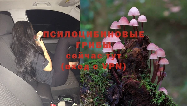 2c-b Волосово
